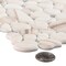 Andova Tiles SAMPLE-Mesa Pebble/Stone Look Glass Mosaic Wall Tile SAM-ANDMES989 - alternate 3